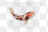 Koi fish png plastic packaging sticker, transparent background