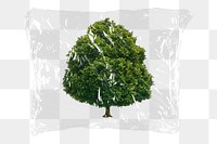 Tree png plastic packaging sticker, transparent background