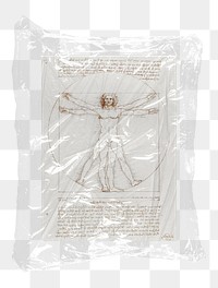 Png Da Vinci's Vitruvian Man plastic packaging sticker, transparent background, remixed by rawpixel