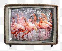 Aesthetic flamingos png sticker, animal on retro television, transparent background