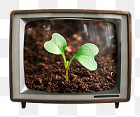 Growing sprout png sticker, environment on retro television, transparent background