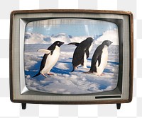 Walking penguins png sticker, animal on retro television, transparent background