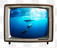 Dolphins swimming png sticker, environment on retro television, transparent background