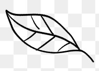 Simple leaf png doodle sticker, botanical transparent background