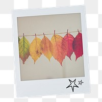 Autumn leaves png sticker, Fall aesthetic instant photo on transparent background