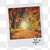 Autumn forest png instant photo sticker, nature aesthetic image on transparent background