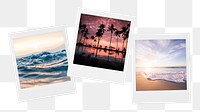 Summer aesthetic png sticker, instant photos mood board on transparent background