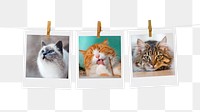 Cute kittens png sticker, instant photo mood board on transparent background