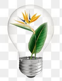 Bird paradise flower png light bulb sticker, botanical aesthetic graphic, transparent background