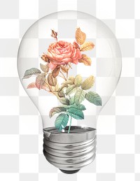 Aesthetic rose png bulb sticker, flower illustration on transparent background