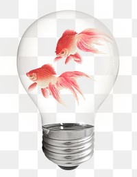 Gold fish png sticker, light bulb animal creative remix on transparent background