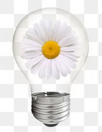 Daisy flower png sticker light bulb, Spring aesthetic graphic, transparent background