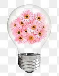 Pink gerbera png sticker flowers light bulb, Spring aesthetic graphic, transparent background