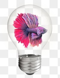 Betta fish png sticker, light bulb animal creative remix on transparent background