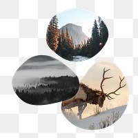 Winter nature png aesthetic badge sticker, wilderness photo in blob shape, transparent background