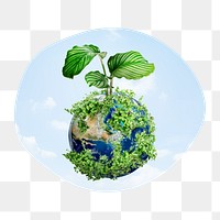 Green earth png badge sticker, environment photo in blob shape, transparent background
