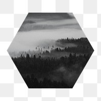 Foggy forest png badge sticker, nature photo in hexagon shape, transparent background