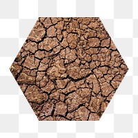 Global warming png badge sticker, cracked ground texture photo in hexagon shape, transparent background