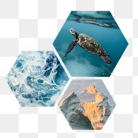 Melting ocean png badge sticker, climate change photo in hexagon shape, transparent background