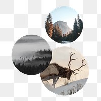 Winter nature png aesthetic badge sticker, wilderness photo, transparent background