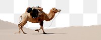 Camel border png, desert animal collage element, transparent background