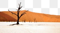 Desert border png, dead trees on land, transparent background