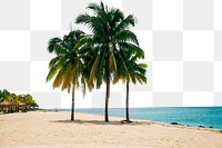 Beach border png, tropical nature, transparent background