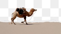 Camel border png, ripped paper texture, transparent background