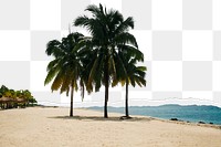 PNG beach border, ripped paper texture, transparent background