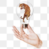 Roaring tiger png sticker, hand holding light bulb in wildlife concept, transparent background