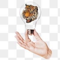 Roaring tiger png sticker, hand holding light bulb in wildlife concept, transparent background