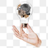 Black rose png flowers sticker, hand holding light bulb in Winter concept, transparent background