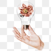 Dry flower png sticker, hand holding light bulb in Autumn concept, transparent background