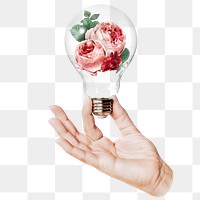 Moss rose flowers png sticker, hand holding light bulb in Spring concept, transparent background