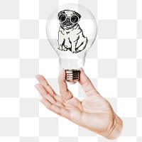 Pug puppy png sticker, hand holding light bulb in pet fashion concept, transparent background