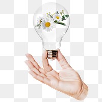 White daisy png flowers sticker, hand holding light bulb in Spring concept, transparent background