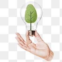 Green tree png sticker, hand holding light bulb in sustainable environment concept, transparent background