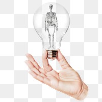 Human skeleton png sticker, hand holding light bulb in medical concept, transparent background