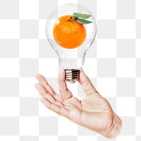 Orange fruit png sticker, hand holding light bulb in health, wellness concept, transparent background