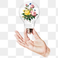 Wild rose png flowers sticker, hand holding light bulb in Spring concept, transparent background