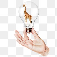 Giraffe png sticker, hand holding light bulb in wildlife concept, transparent background