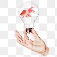 Goldfish png sticker, hand holding light bulb in animal concept, transparent background