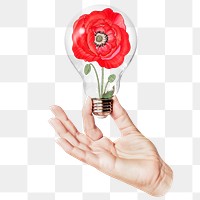 Red poppy png flower sticker, hand holding light bulb in Spring concept, transparent background