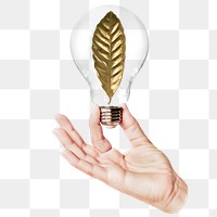 Gold leaf png sticker, hand holding light bulb in nature concept, transparent background