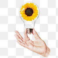 Sunflower flower png sticker, hand holding light bulb in Spring concept, transparent background