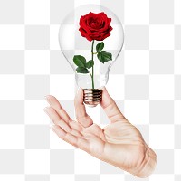 Red rose png flower sticker, hand holding light bulb in Valentine's concept, transparent background