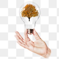 Lone Autumn png tree sticker, hand holding light bulb in nature concept, transparent background