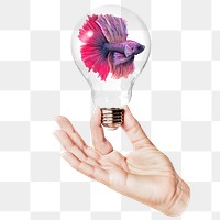 Png Siamese fighting fish sticker, hand holding light bulb in animal concept, transparent background