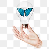 Aesthetic butterfly png sticker, hand holding light bulb in environment concept, transparent background