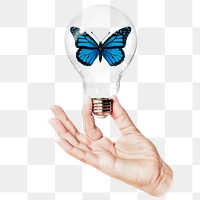 Aesthetic butterfly png sticker, hand holding light bulb in environment concept, transparent background